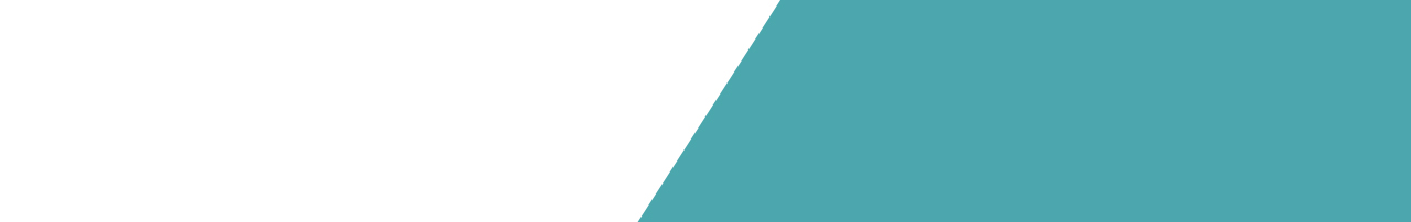 ALT SLIDER